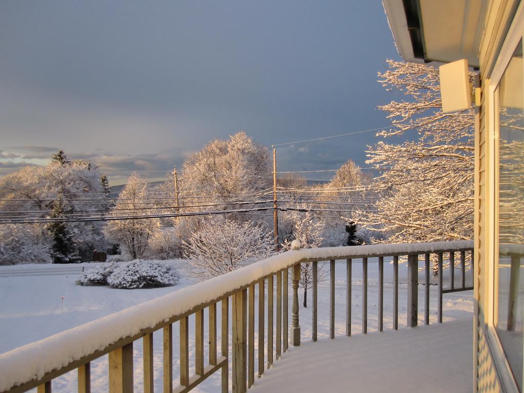 Basinview Motel Smiths Cove Exterior foto