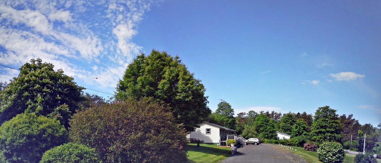Basinview Motel Smiths Cove Exterior foto