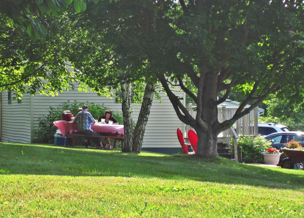 Basinview Motel Smiths Cove Exterior foto
